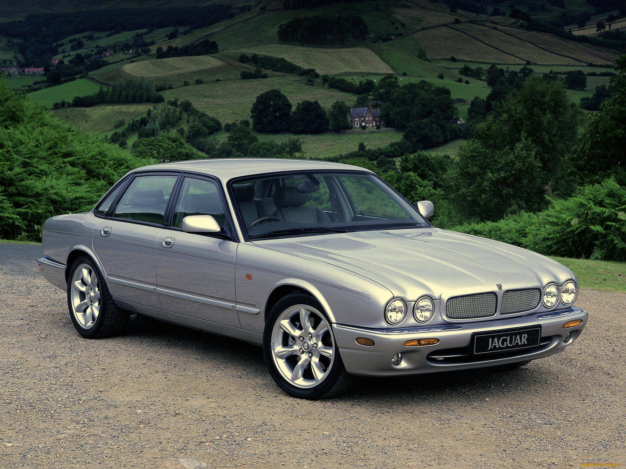 , jaguar